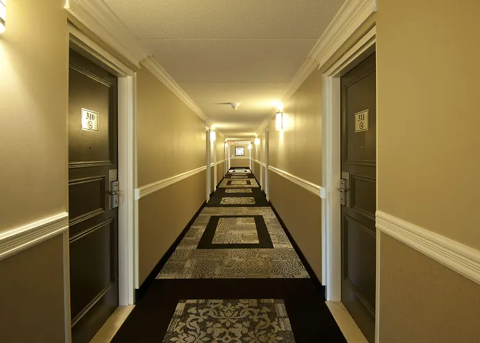 Visitor'S Inn
